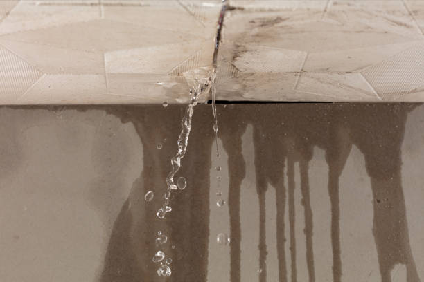 Professional Flood Damage Cleanup technician working in Preston Hollow, NY